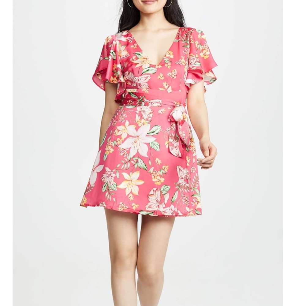 BB Dakota Dress